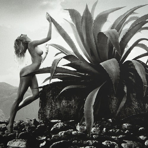 Alana (St. Barth, Grand Fond), 2011