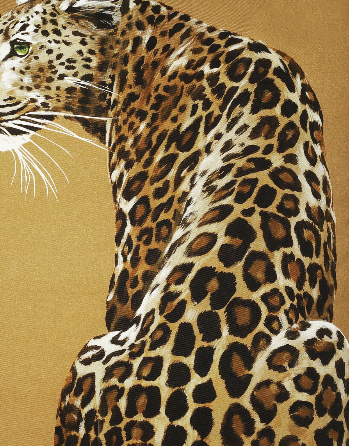 Leopard Canvas Pillow